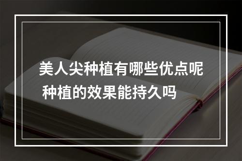 美人尖种植有哪些优点呢 种植的效果能持久吗