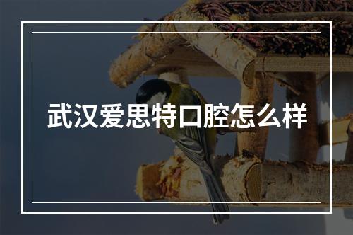 武汉爱思特口腔怎么样