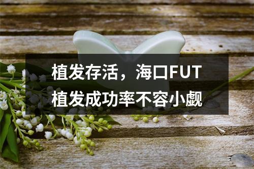 植发存活，海口FUT植发成功率不容小觑