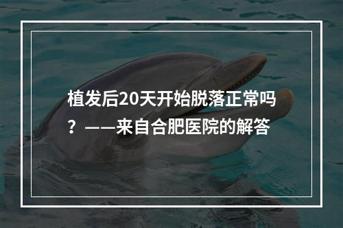 植发后20天开始脱落正常吗？——来自合肥医院的解答