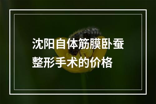 沈阳自体筋膜卧蚕整形手术的价格