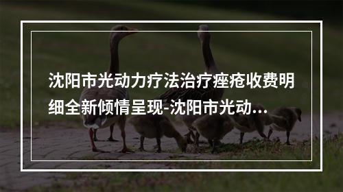 沈阳市光动力疗法治疗痤疮收费明细全新倾情呈现-沈阳市光动力疗法治疗痤疮价格应该是多少