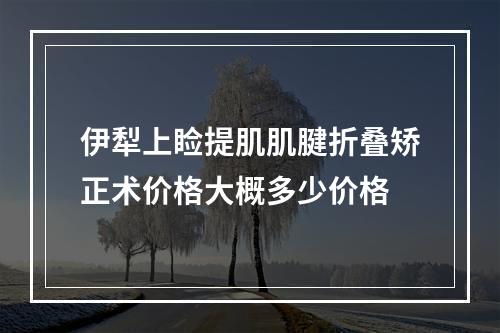 伊犁上睑提肌肌腱折叠矫正术价格大概多少价格