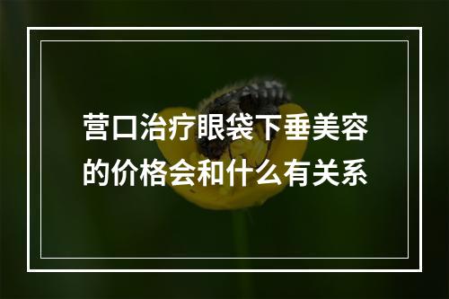 营口治疗眼袋下垂美容的价格会和什么有关系