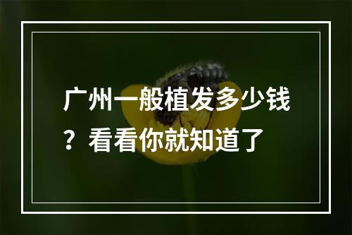 广州一般植发多少钱？看看你就知道了