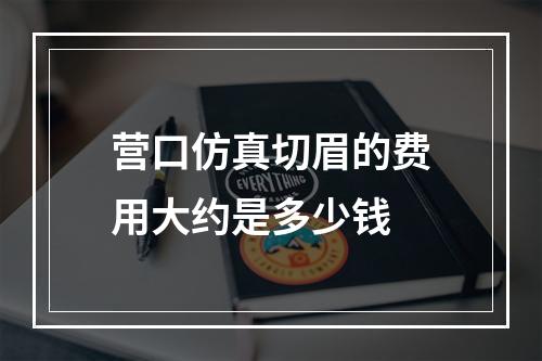 营口仿真切眉的费用大约是多少钱