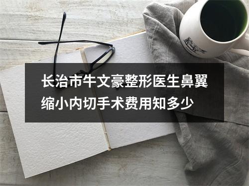 长治市牛文豪整形医生鼻翼缩小内切手术费用知多少