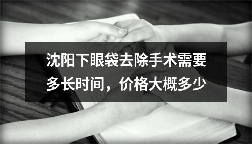 沈阳下眼袋去除手术需要多长时间，价格大概多少