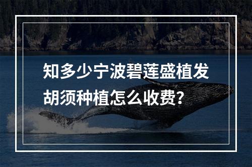 知多少宁波碧莲盛植发胡须种植怎么收费？