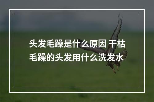 头发毛躁是什么原因 干枯毛躁的头发用什么洗发水