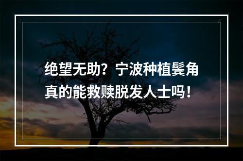 绝望无助？宁波种植鬓角真的能救赎脱发人士吗！