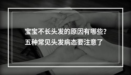 宝宝不长头发的原因有哪些？五种常见头发病态要注意了