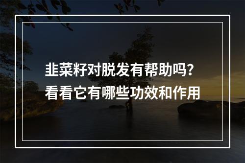 韭菜籽对脱发有帮助吗？看看它有哪些功效和作用