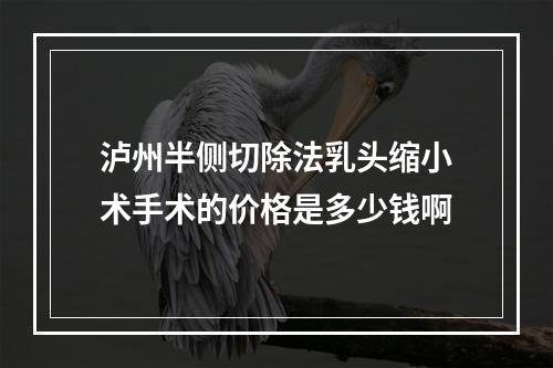 泸州半侧切除法乳头缩小术手术的价格是多少钱啊