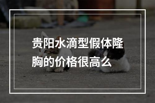 贵阳水滴型假体隆胸的价格很高么