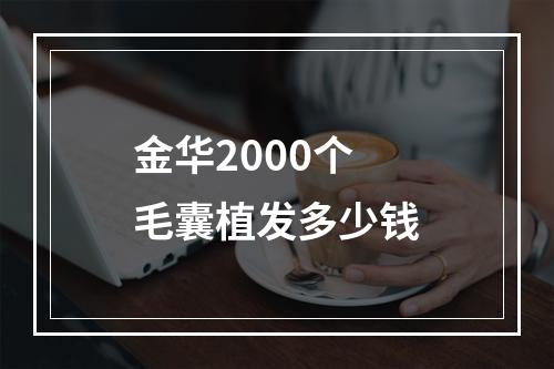 金华2000个毛囊植发多少钱