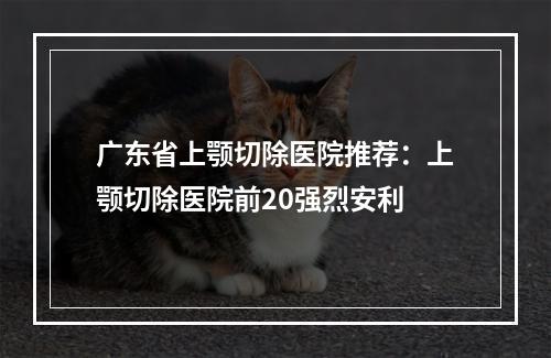 广东省上颚切除医院推荐：上颚切除医院前20强烈安利