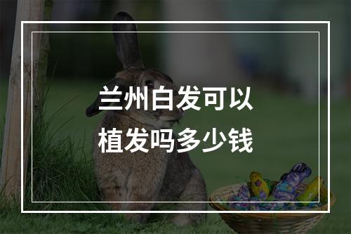 兰州白发可以植发吗多少钱