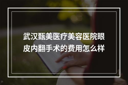 武汉甄美医疗美容医院眼皮内翻手术的费用怎么样