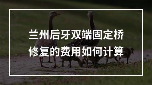 兰州后牙双端固定桥修复的费用如何计算