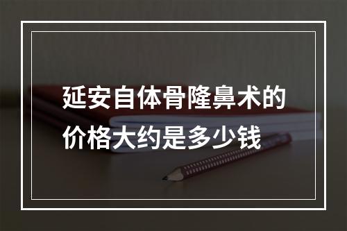 延安自体骨隆鼻术的价格大约是多少钱