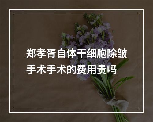 郑孝胥自体干细胞除皱手术手术的费用贵吗