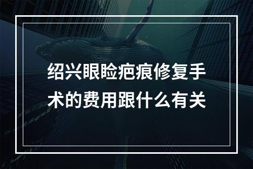 绍兴眼睑疤痕修复手术的费用跟什么有关