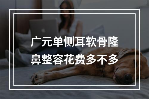 广元单侧耳软骨隆鼻整容花费多不多