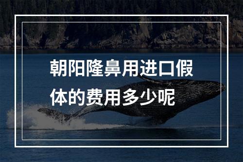 朝阳隆鼻用进口假体的费用多少呢