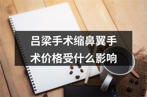 吕梁手术缩鼻翼手术价格受什么影响