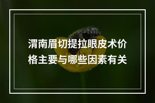 渭南眉切提拉眼皮术价格主要与哪些因素有关