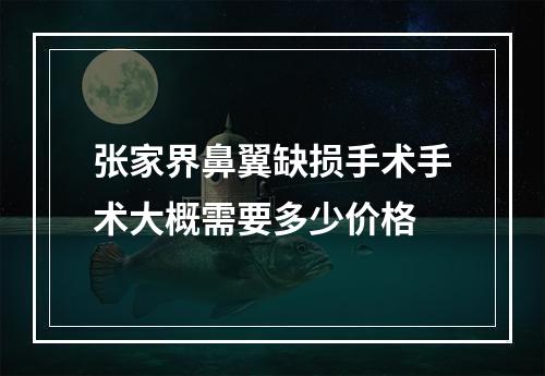 张家界鼻翼缺损手术手术大概需要多少价格