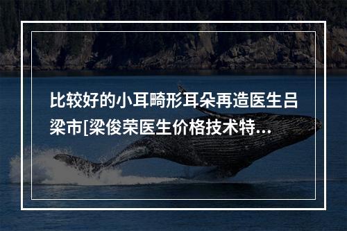 比较好的小耳畸形耳朵再造医生吕梁市[梁俊荣医生价格技术特色看不愧是有名]