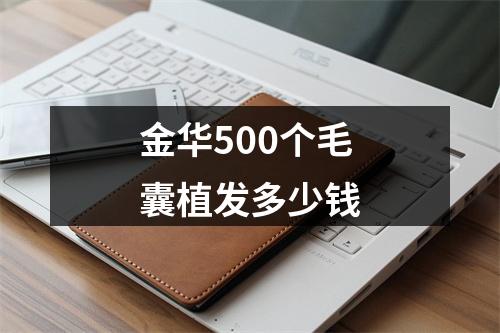 金华500个毛囊植发多少钱