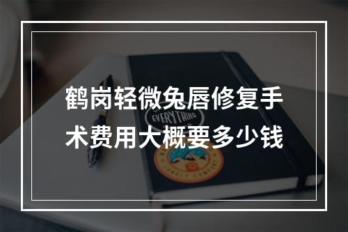 鹤岗轻微兔唇修复手术费用大概要多少钱