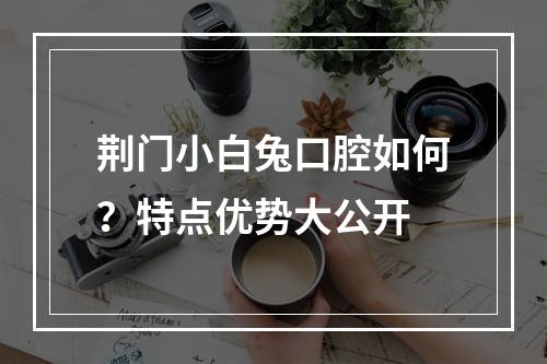 荆门小白兔口腔如何？特点优势大公开