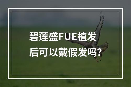 碧莲盛FUE植发后可以戴假发吗？