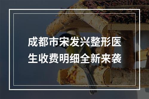 成都市宋发兴整形医生收费明细全新来袭