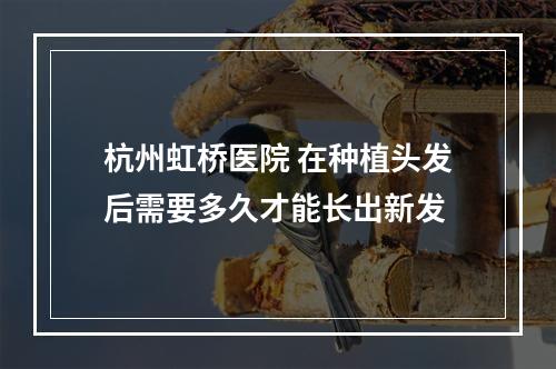 杭州虹桥医院 在种植头发后需要多久才能长出新发