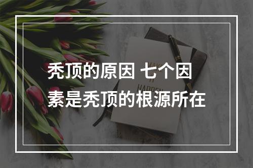 秃顶的原因 七个因素是秃顶的根源所在