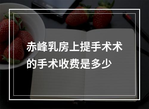 赤峰乳房上提手术术的手术收费是多少