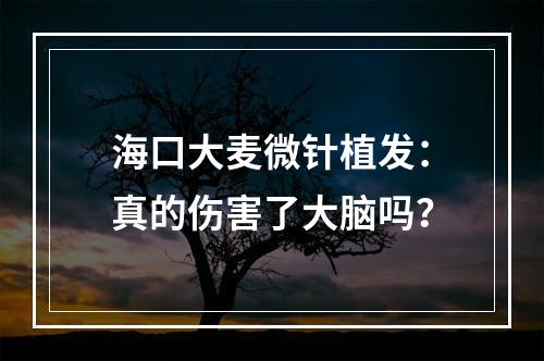 海口大麦微针植发：真的伤害了大脑吗？