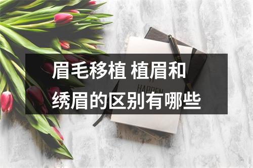 眉毛移植 植眉和绣眉的区别有哪些