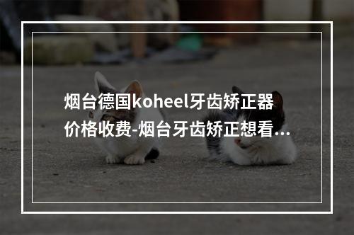 烟台德国koheel牙齿矫正器价格收费-烟台牙齿矫正想看牙的看过来-