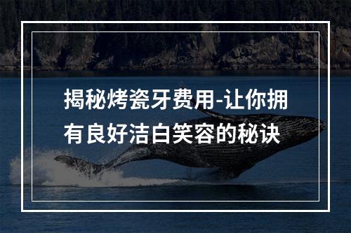 揭秘烤瓷牙费用-让你拥有良好洁白笑容的秘诀