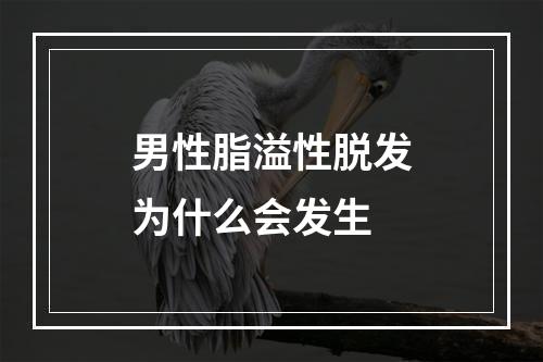 男性脂溢性脱发为什么会发生