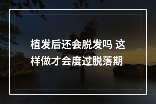 植发后还会脱发吗 这样做才会度过脱落期