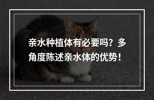 亲水种植体有必要吗？多角度陈述亲水体的优势！