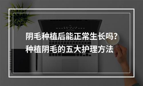 阴毛种植后能正常生长吗？种植阴毛的五大护理方法