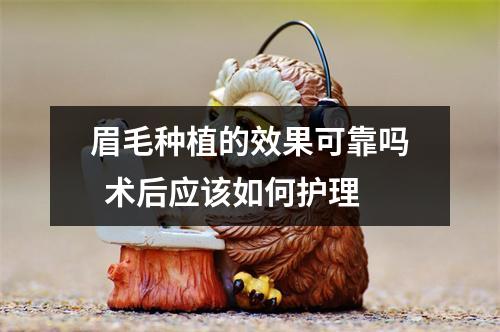 眉毛种植的效果可靠吗  术后应该如何护理